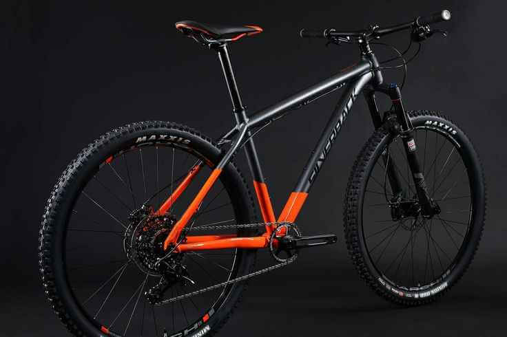 Singletrack Bike